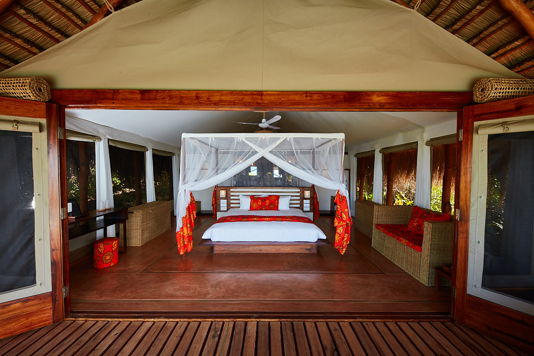 Safari Suite