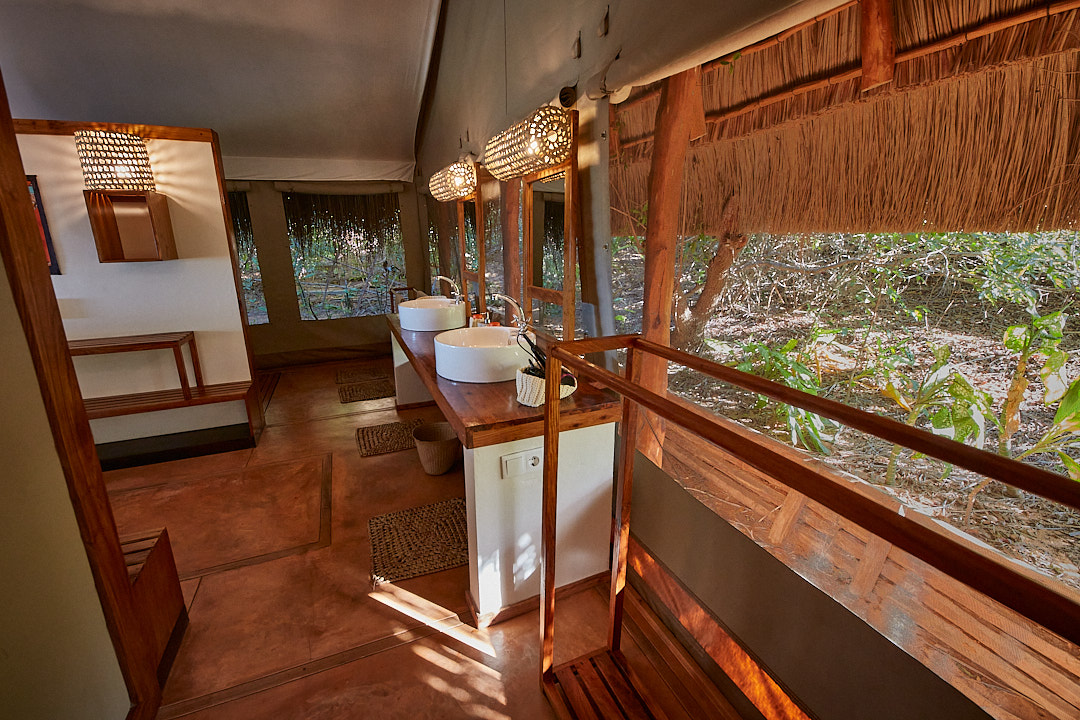 Safari Suite